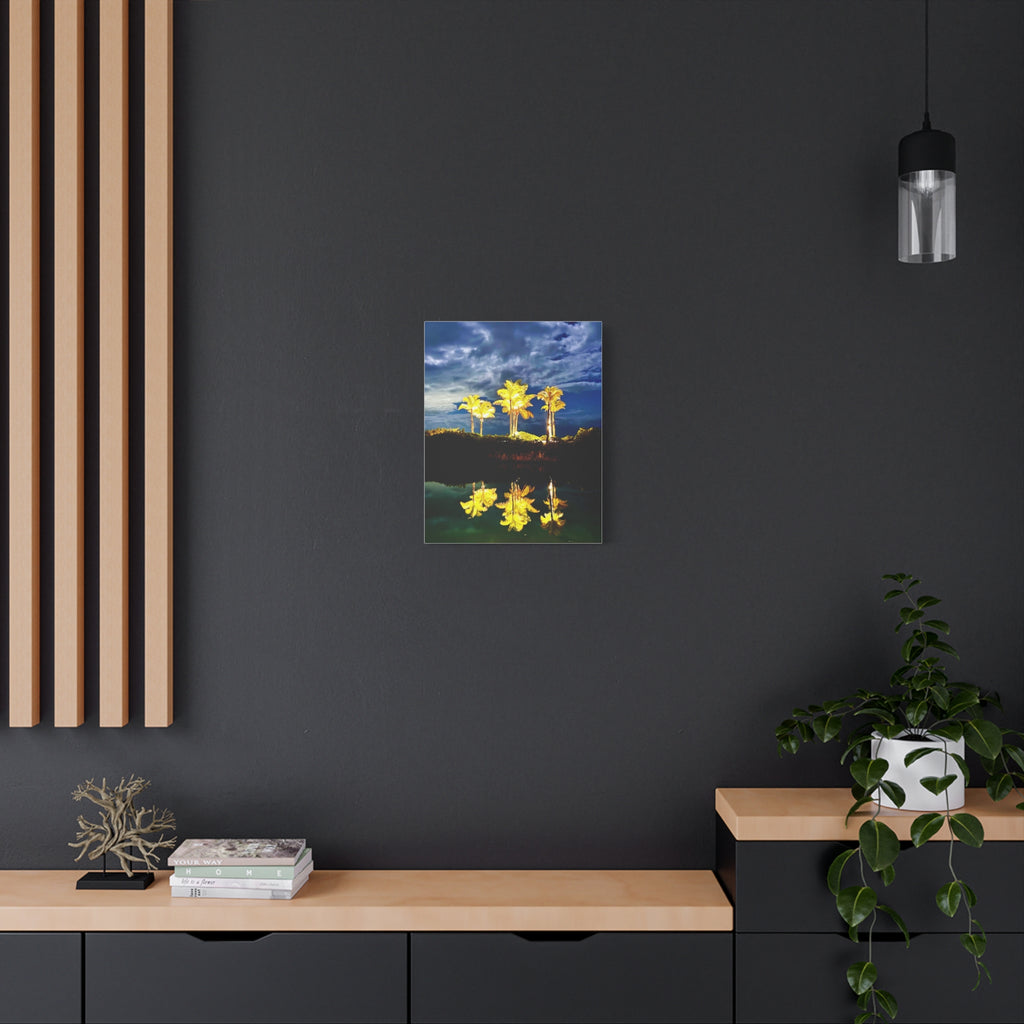 Palm Tree Reflection Matte Canvas Wall Art — Quanta Roo, Tropical Evening