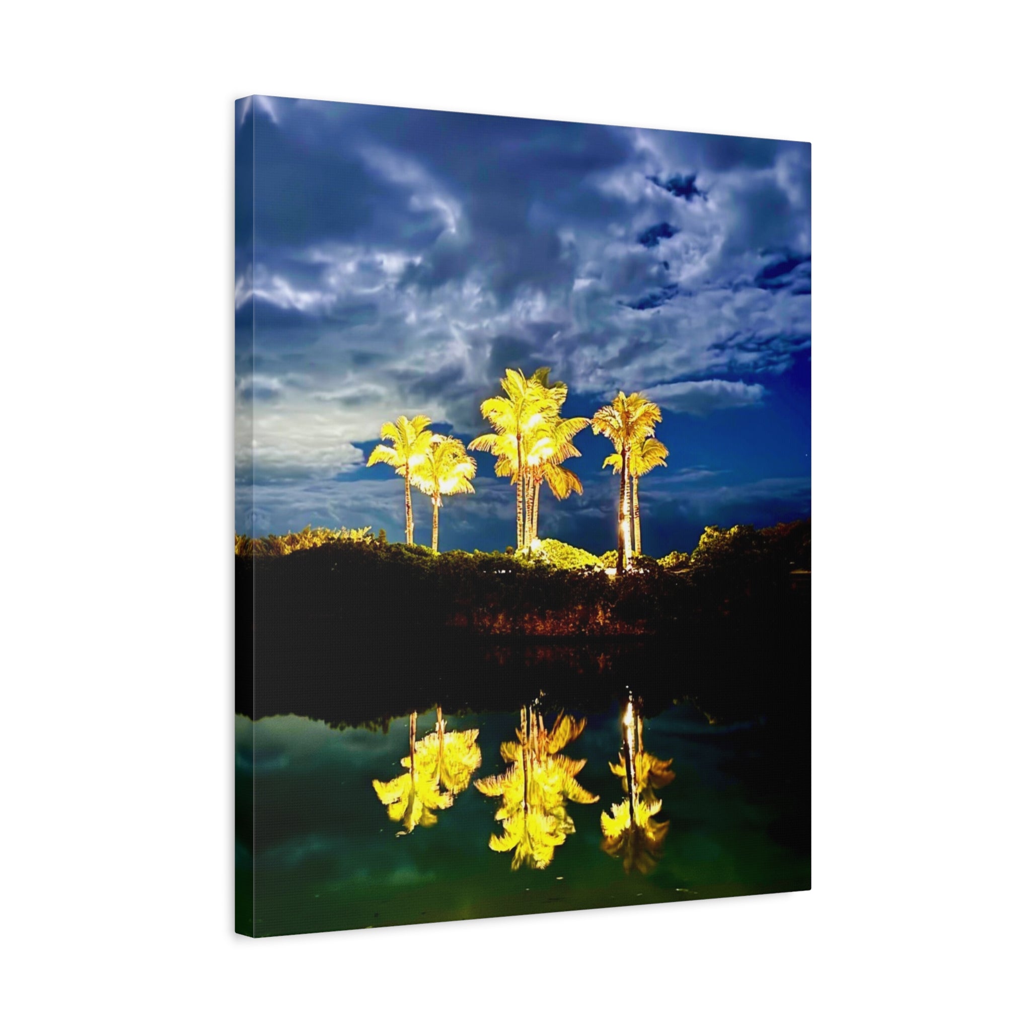 Palm Tree Reflection Matte Canvas Wall Art — Quanta Roo, Tropical Evening
